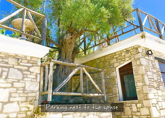 Traditional Private アストリス